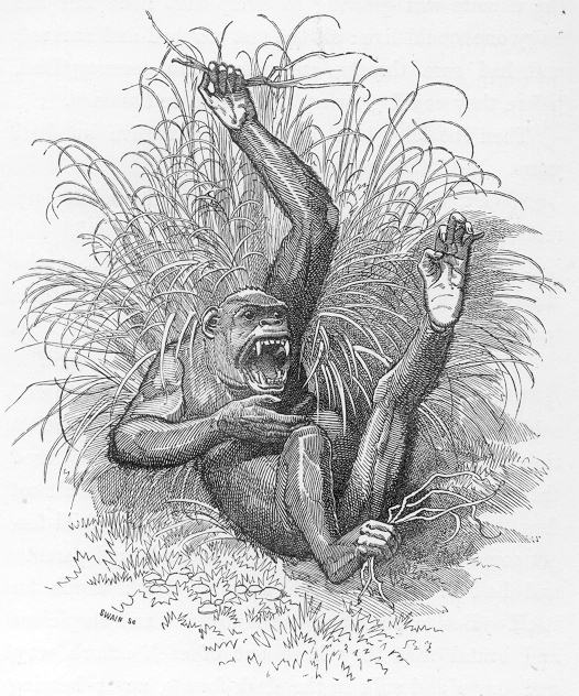 Figure 1. Illustration accompanying the text in Kingsley's Water Babies, p. 236.