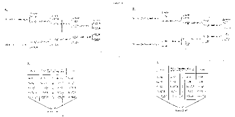 Table 3, fold-out spread. Click to enlarge in new window.