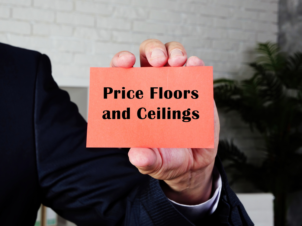 Price Ceilings and Floors