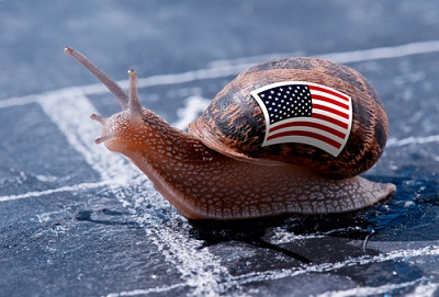 snail's pace.jpg