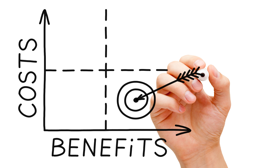 Decision Making and Cost-Benefit Analysis