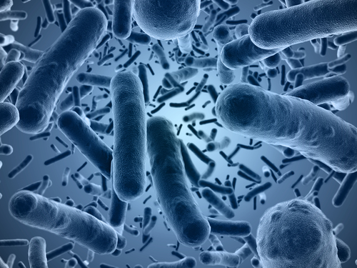 https://www.econlib.org/wp-content/uploads/2018/11/bacteria.jpg