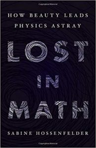 Lost-in-Math-194x300.jpg