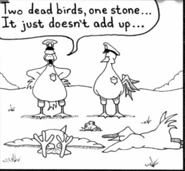 Kill 2 Birds With One Stone Origin Killing two birds with one stone - Econlib