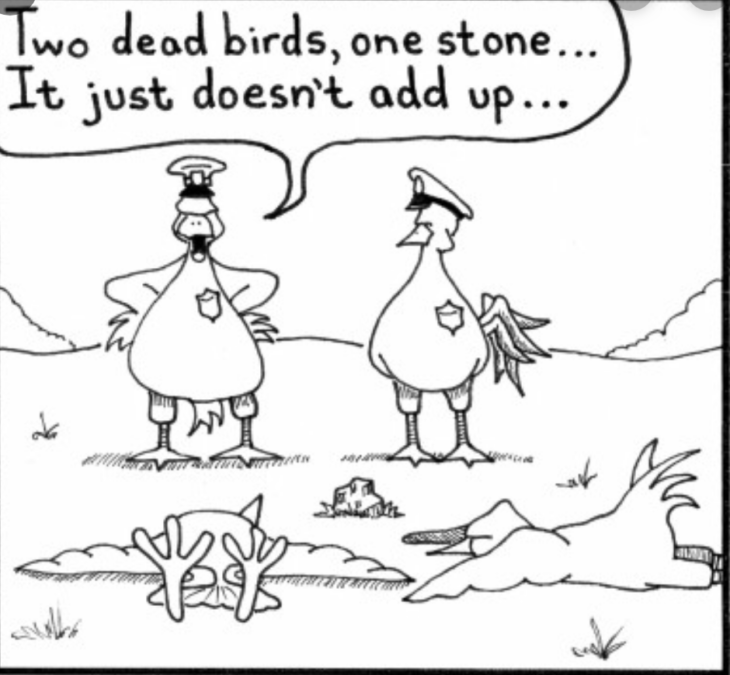 To Kill two Birds with one Stone идиома. Two Kill two Birds with one Stone. Killing two Birds with one Stone камень. To Kill 2 Birds with one Stone.