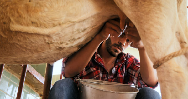 Hiring a Research Assistant or a Cowboy