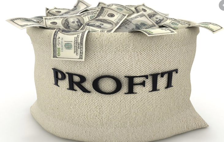 'Profit' is a meaningless term