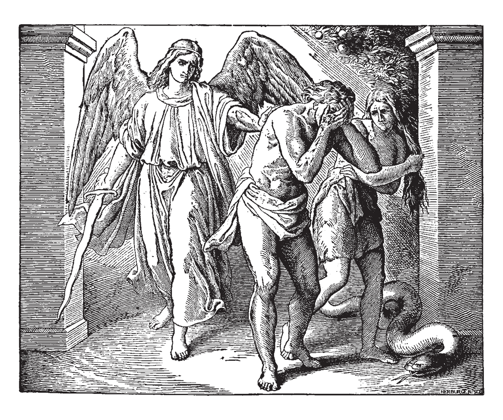 Mrs. Grundy Against Ryan Anderson’s Book