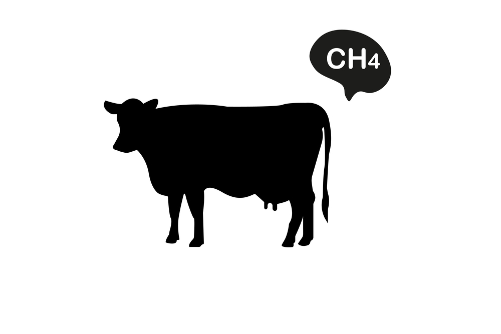 Manure, Methane, and Mercantilism