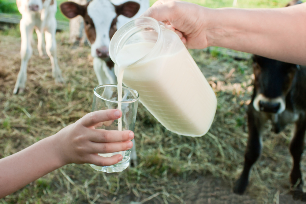 Why Raw Milk Matters
