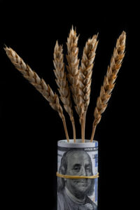 grain-tax-200x300.jpg