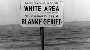 DEI, Racial Categorization, and South Africa