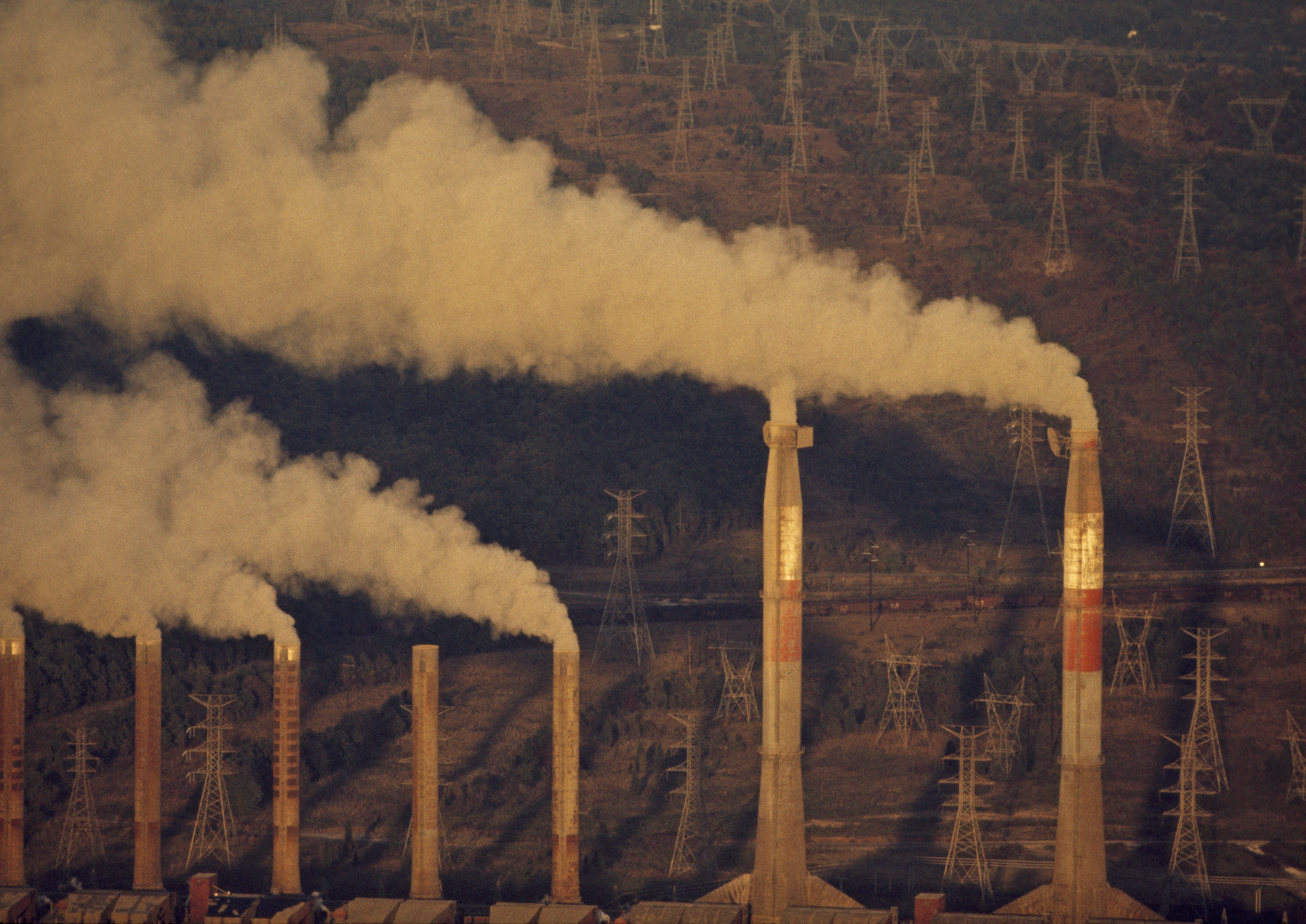 David Friedman on the Social Cost of Carbon Dioxide