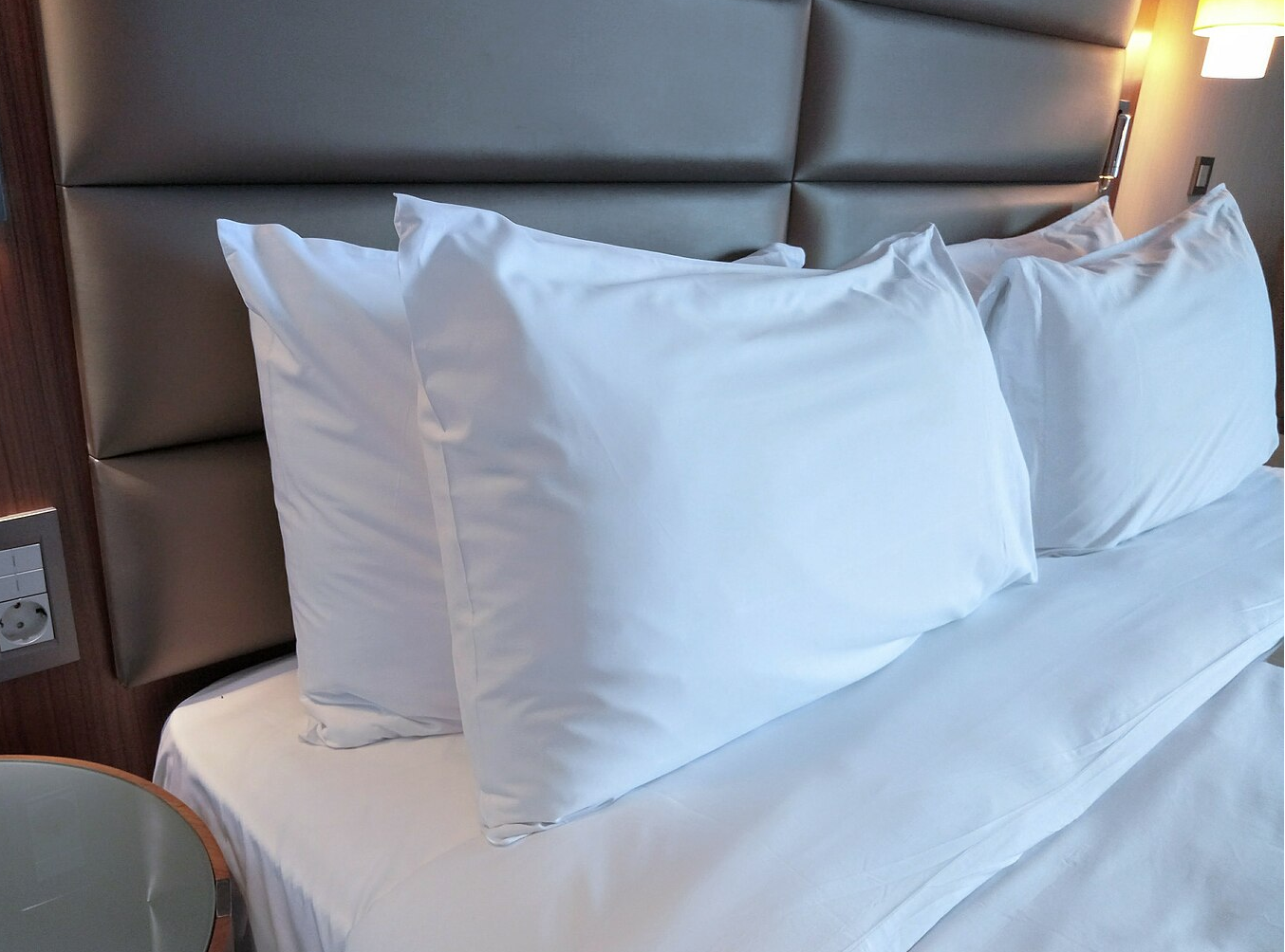 The Immigration Pillow