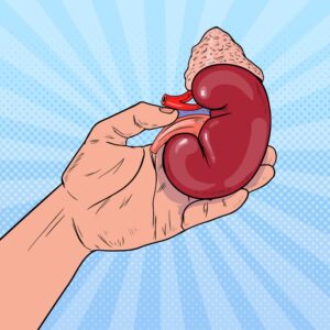 kidney-300x300.jpg