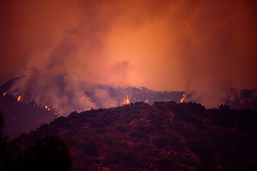 California Burning: Causes and the Way Forward