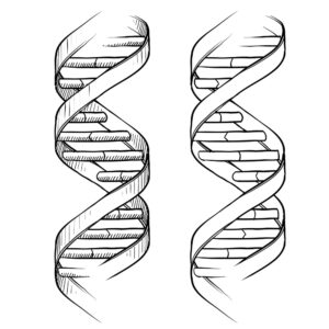 DNA2-300x300.jpg